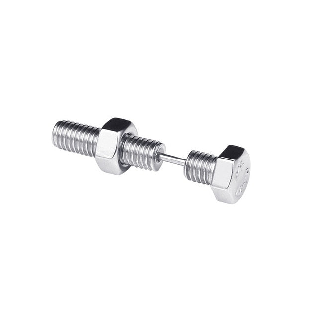 Silver Stainless/Titanium Steel Stud Earrings